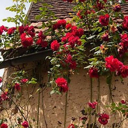 Charmante Maison En Pierre Avec Piscine Privee, 8 Personnes, Proche Des Bastides - Fr-1-824-19 Le Buisson-de-Cadouin Dış mekan fotoğraf